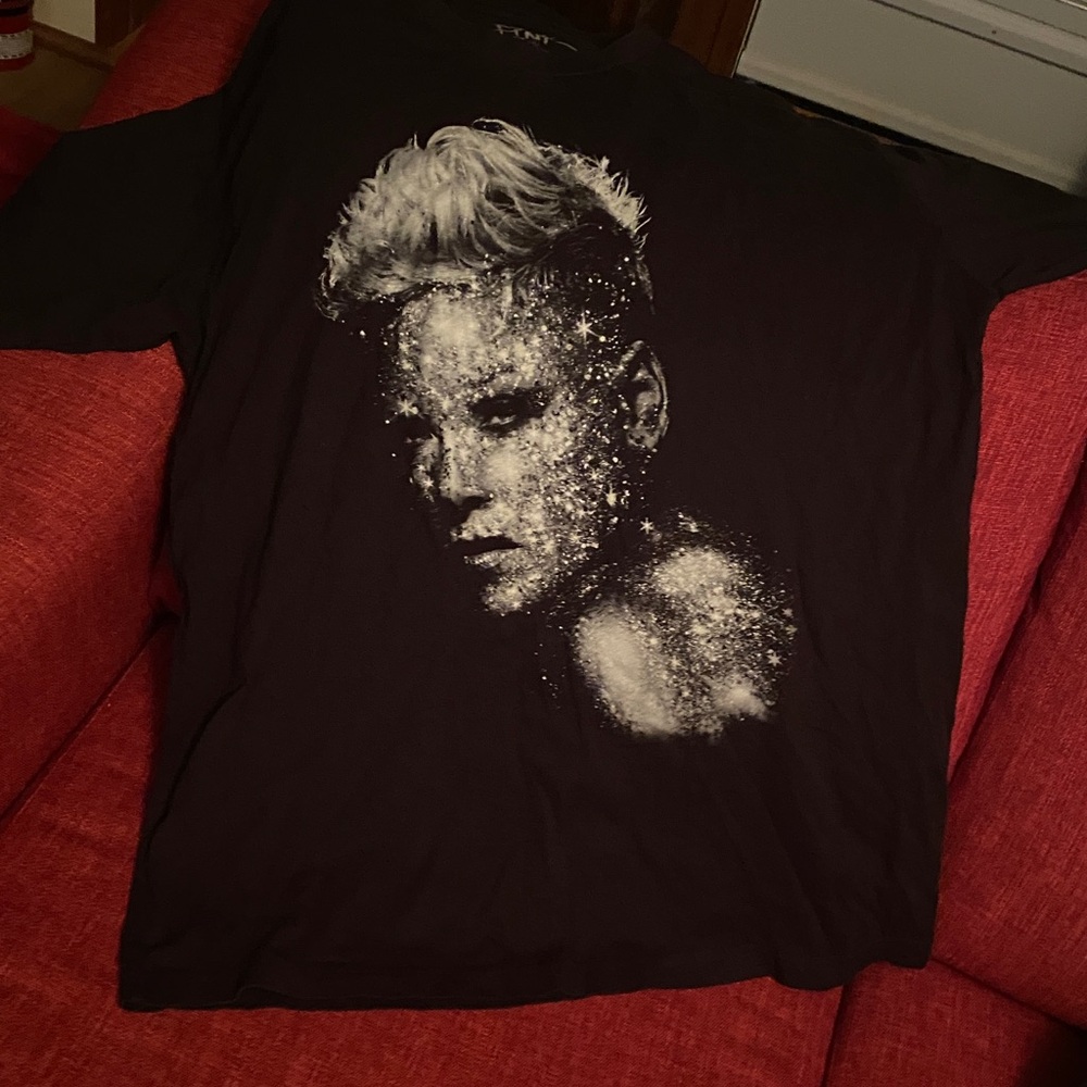 PINK (singer) AUTHENTIC 2023 SUMMER CARNIVAL CONCERT TOUR DATES SHIRT